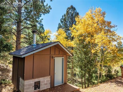 Tiny photo for 356 Spring Valley Drive, Divide, CO 80814 (MLS # 3146059)