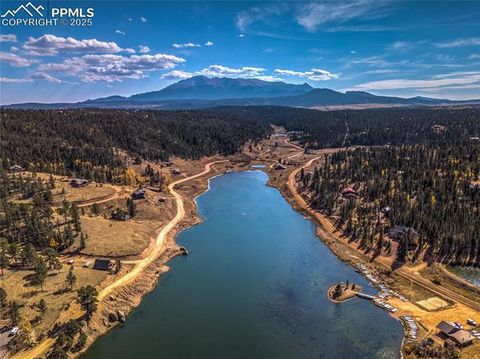 Tiny photo for 356 Spring Valley Drive, Divide, CO 80814 (MLS # 3146059)