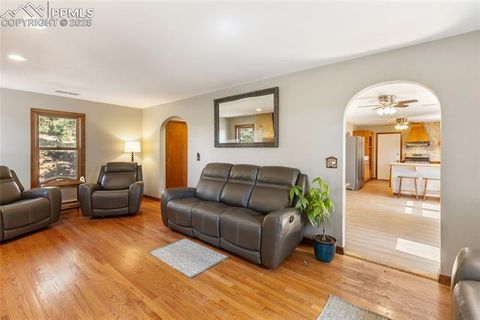 Tiny photo for 356 Spring Valley Drive, Divide, CO 80814 (MLS # 3146059)