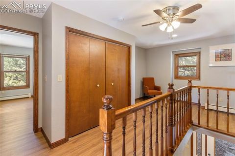 Tiny photo for 356 Spring Valley Drive, Divide, CO 80814 (MLS # 3146059)