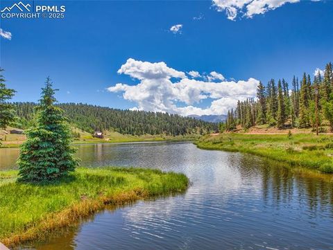 Tiny photo for 356 Spring Valley Drive, Divide, CO 80814 (MLS # 3146059)