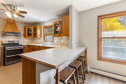 Tiny photo for 356 Spring Valley Drive, Divide, CO 80814 (MLS # 3146059)
