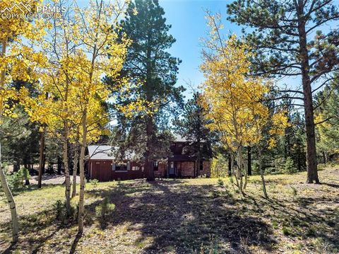 Photo of 356 Spring Valley Drive, Divide, CO 80814 (MLS # 3146059)