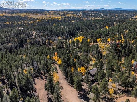 Tiny photo for 356 Spring Valley Drive, Divide, CO 80814 (MLS # 3146059)