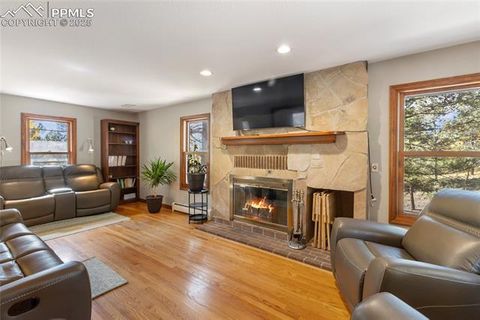 Tiny photo for 356 Spring Valley Drive, Divide, CO 80814 (MLS # 3146059)