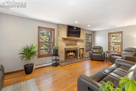 Tiny photo for 356 Spring Valley Drive, Divide, CO 80814 (MLS # 3146059)