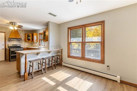 Tiny photo for 356 Spring Valley Drive, Divide, CO 80814 (MLS # 3146059)
