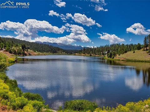Tiny photo for 356 Spring Valley Drive, Divide, CO 80814 (MLS # 3146059)