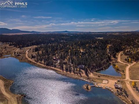 Tiny photo for 356 Spring Valley Drive, Divide, CO 80814 (MLS # 3146059)