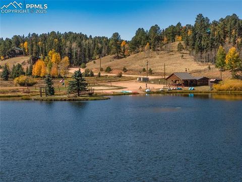 Tiny photo for 356 Spring Valley Drive, Divide, CO 80814 (MLS # 3146059)