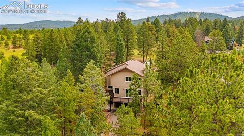 Tiny photo for 2882 Sunnywood Avenue, Woodland Park, CO 80863 (MLS # 9258163)