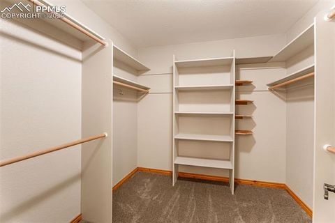 Tiny photo for 2882 Sunnywood Avenue, Woodland Park, CO 80863 (MLS # 9258163)