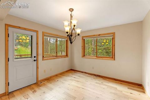 Tiny photo for 2882 Sunnywood Avenue, Woodland Park, CO 80863 (MLS # 9258163)