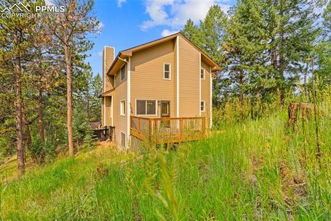 Tiny photo for 2882 Sunnywood Avenue, Woodland Park, CO 80863 (MLS # 9258163)
