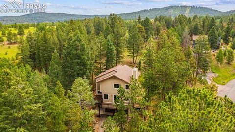 Photo of 2882 Sunnywood Avenue, Woodland Park, CO 80863 (MLS # 9258163)