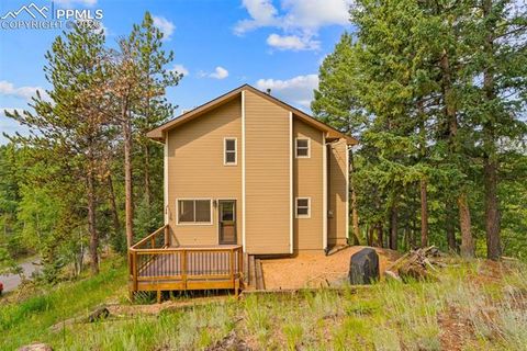 Tiny photo for 2882 Sunnywood Avenue, Woodland Park, CO 80863 (MLS # 9258163)