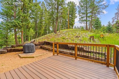 Tiny photo for 2882 Sunnywood Avenue, Woodland Park, CO 80863 (MLS # 9258163)
