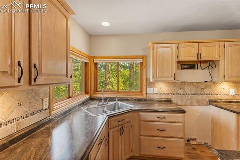 Tiny photo for 2882 Sunnywood Avenue, Woodland Park, CO 80863 (MLS # 9258163)
