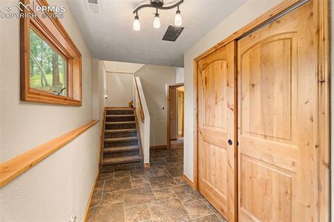 Tiny photo for 2882 Sunnywood Avenue, Woodland Park, CO 80863 (MLS # 9258163)