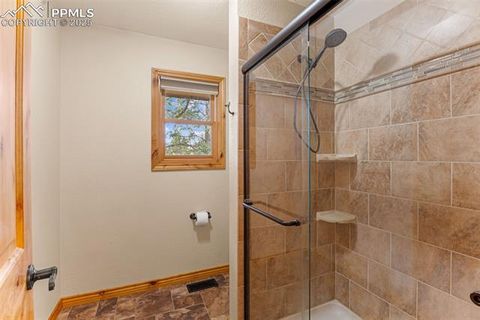Tiny photo for 2882 Sunnywood Avenue, Woodland Park, CO 80863 (MLS # 9258163)