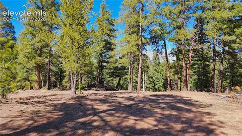 Photo of 178 Gerka Lane, Florissant, CO 80816 (MLS # 1453533)
