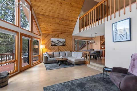 Tiny photo for 3887 Spruce Road, Woodland Park, CO 80863 (MLS # 5992174)