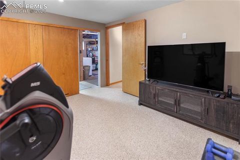 Tiny photo for 3887 Spruce Road, Woodland Park, CO 80863 (MLS # 5992174)