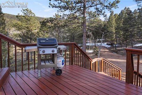 Tiny photo for 3887 Spruce Road, Woodland Park, CO 80863 (MLS # 5992174)