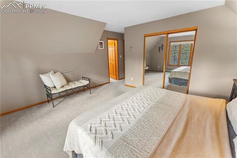 Tiny photo for 3887 Spruce Road, Woodland Park, CO 80863 (MLS # 5992174)