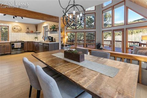 Tiny photo for 3887 Spruce Road, Woodland Park, CO 80863 (MLS # 5992174)