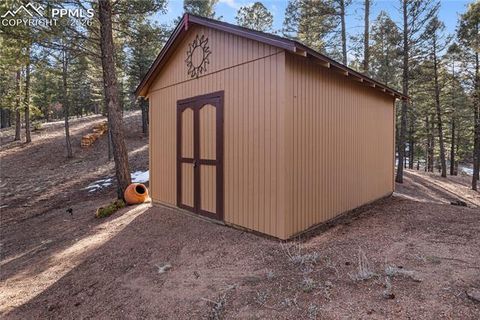 Tiny photo for 3887 Spruce Road, Woodland Park, CO 80863 (MLS # 5992174)