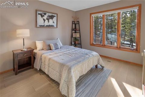 Tiny photo for 3887 Spruce Road, Woodland Park, CO 80863 (MLS # 5992174)