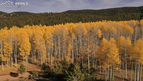 Tiny photo for 3887 Spruce Road, Woodland Park, CO 80863 (MLS # 5992174)