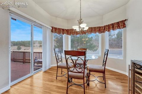 Tiny photo for 1665 Doe Run Point, Colorado Springs, CO 80919 (MLS # 9433988)