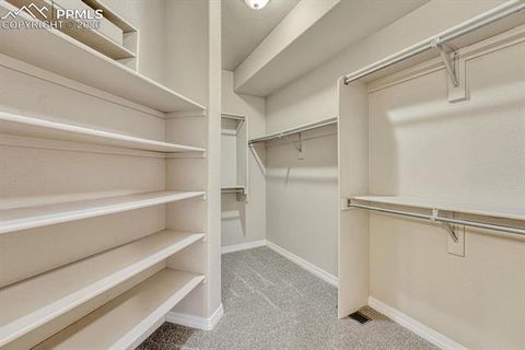 Tiny photo for 1665 Doe Run Point, Colorado Springs, CO 80919 (MLS # 9433988)