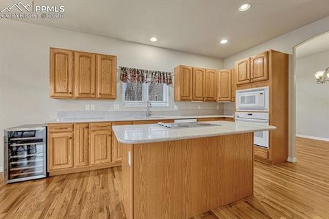 Tiny photo for 1665 Doe Run Point, Colorado Springs, CO 80919 (MLS # 9433988)