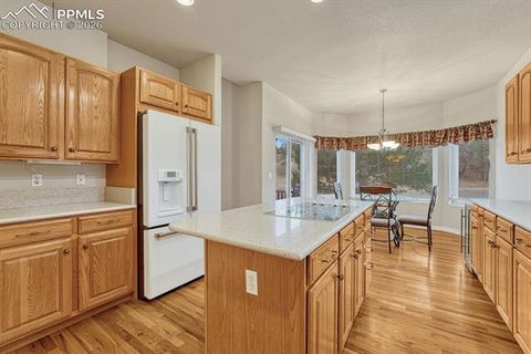 Tiny photo for 1665 Doe Run Point, Colorado Springs, CO 80919 (MLS # 9433988)
