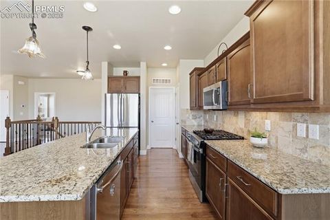 Tiny photo for 13036 Cupcake Heights, Colorado Springs, CO 80921 (MLS # 6980409)