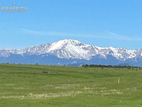 Photo of 19215 Mariah Trail, Colorado Springs, CO 80908 (MLS # 4301502)