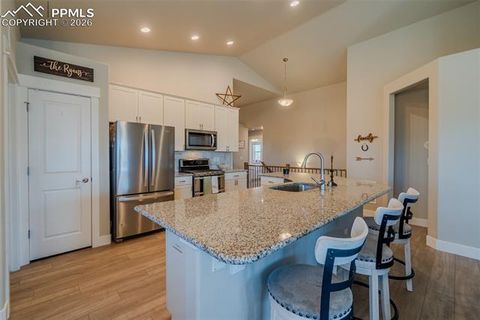 Tiny photo for 11073 Asbee Street, Peyton, CO 80831 (MLS # 6008243)