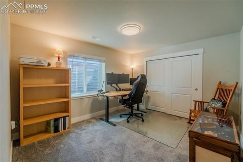 Tiny photo for 11073 Asbee Street, Peyton, CO 80831 (MLS # 6008243)