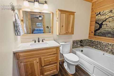 Tiny photo for 875 Hackamore Drive, Florissant, CO 80816 (MLS # 5324104)