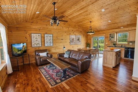 Tiny photo for 875 Hackamore Drive, Florissant, CO 80816 (MLS # 5324104)