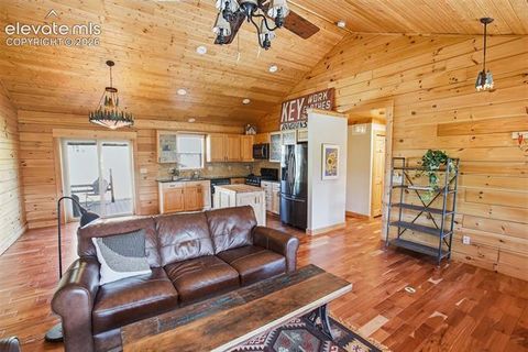 Tiny photo for 875 Hackamore Drive, Florissant, CO 80816 (MLS # 5324104)