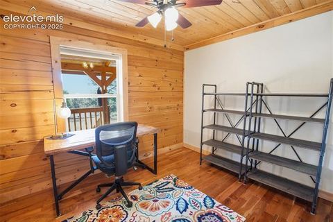 Tiny photo for 875 Hackamore Drive, Florissant, CO 80816 (MLS # 5324104)