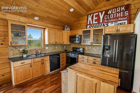 Tiny photo for 875 Hackamore Drive, Florissant, CO 80816 (MLS # 5324104)