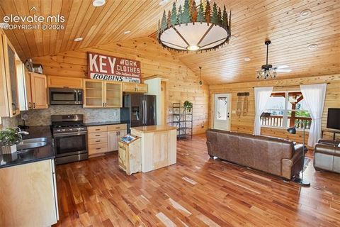 Tiny photo for 875 Hackamore Drive, Florissant, CO 80816 (MLS # 5324104)