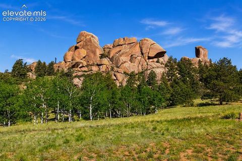 Tiny photo for 875 Hackamore Drive, Florissant, CO 80816 (MLS # 5324104)