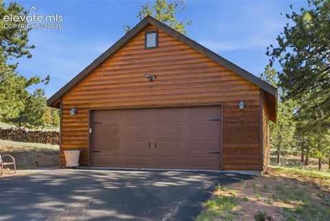 Tiny photo for 875 Hackamore Drive, Florissant, CO 80816 (MLS # 5324104)