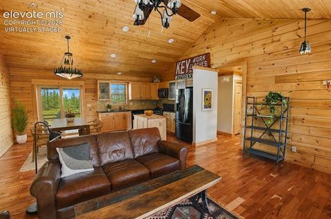 Tiny photo for 875 Hackamore Drive, Florissant, CO 80816 (MLS # 5324104)